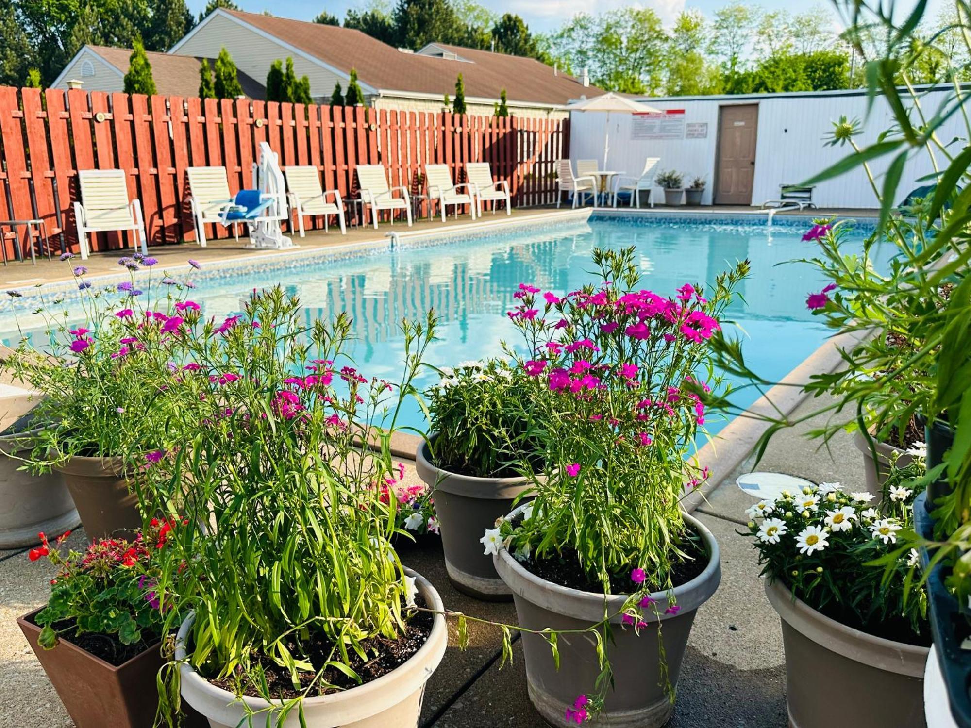 Quality Lodge ساندسكاي المظهر الخارجي الصورة
